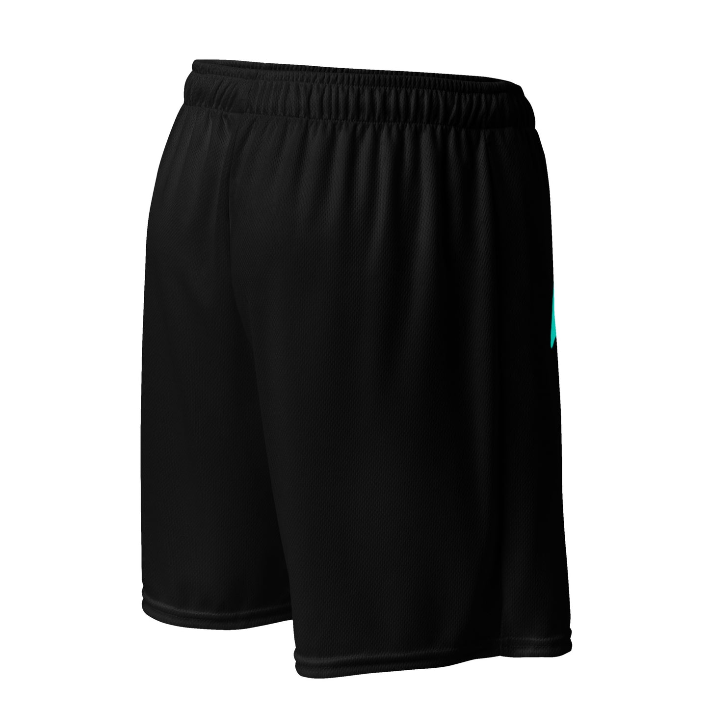 Wings Shorts - Black w/ Baby Blue